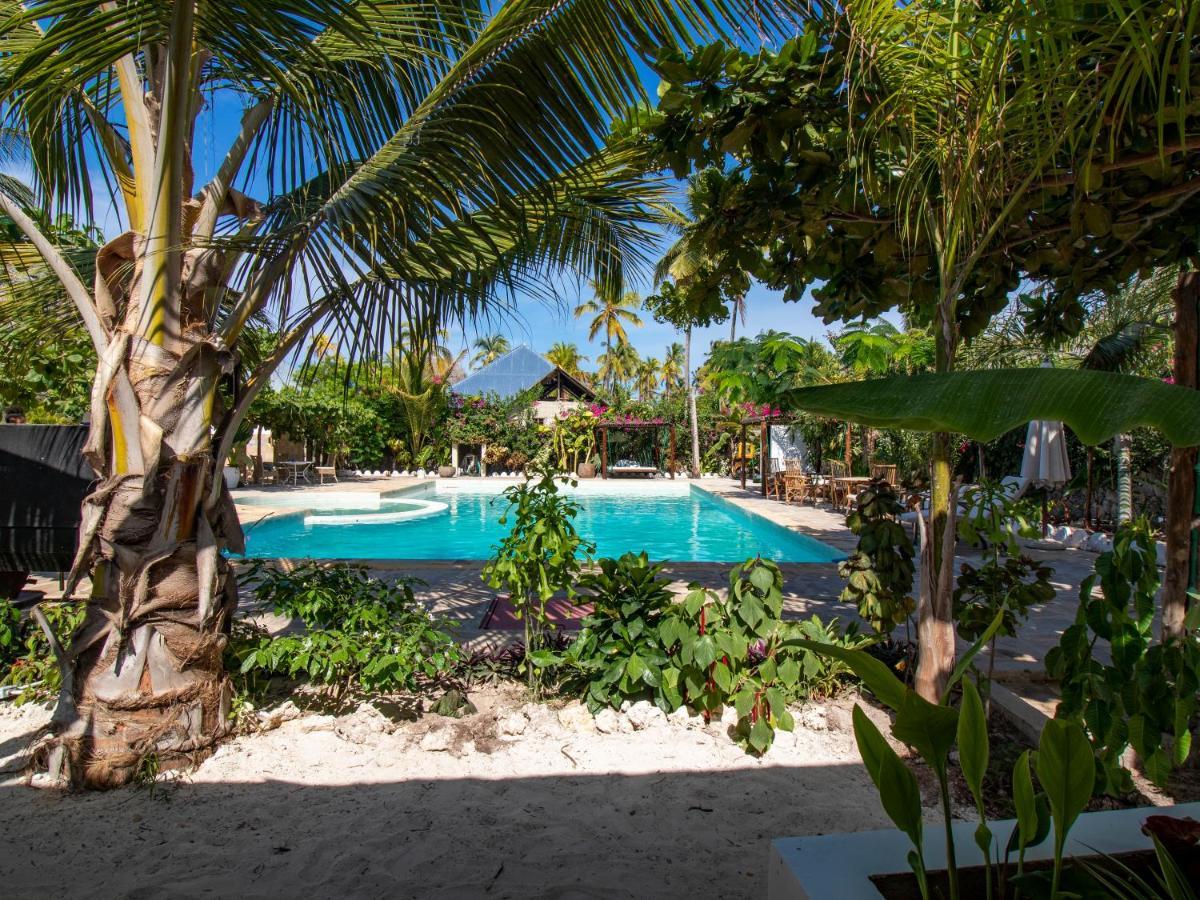Michamvi Tropical Oasis Boutique Hotel المظهر الخارجي الصورة