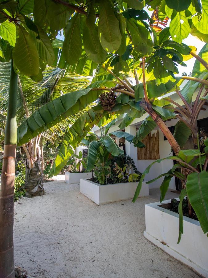 Michamvi Tropical Oasis Boutique Hotel المظهر الخارجي الصورة